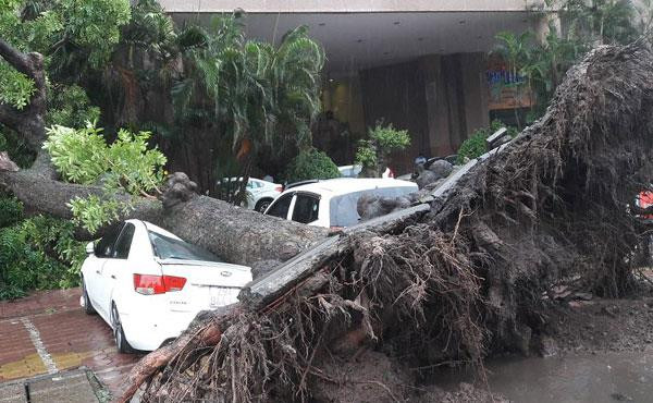 Picture 8 of Entering the capital of Hanoi, the storm weakened into a tropical depression