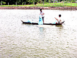 Picture 1 of Environmental protection of surface water in the Mekong Delta