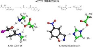 Enzymes designed to protect themselves promise many medical applications images 1