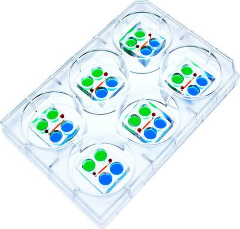 Picture 2 of Equipment for incubating thousands of human embryos at the same time and the future of 'synthesizer' from just one stem cell?
