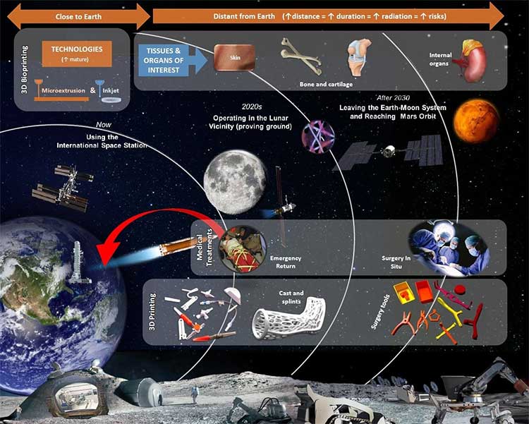 ESA is studying 3D bone and skin printing to help save accidents in space