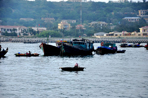 Picture 1 of Establishment of Bach Long Vi marine reserve