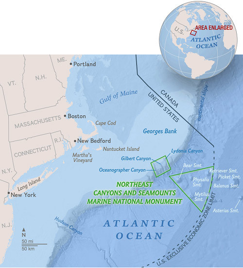 Picture 2 of Establishment of the first ocean conservation garden in the Atlantic