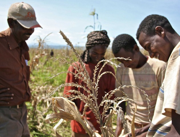 Picture 2 of Ethiopia from the ashes becomes the fastest growing economy in the continent