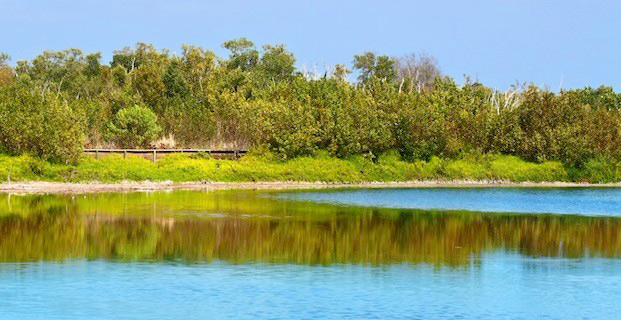 Picture 14 of Everglades National Park - United States of America