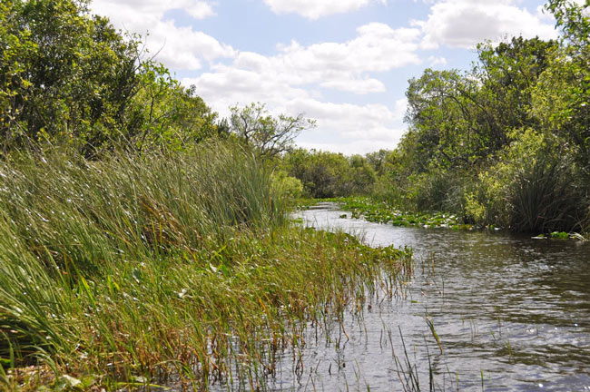Picture 15 of Everglades National Park - United States of America