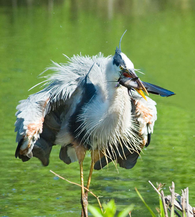 Picture 9 of Everglades National Park - United States of America