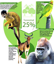 Picture 1 of Every day the world loses 150 animal and plant species