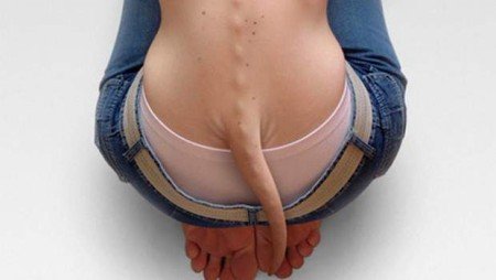 Picture 2 of Everyone owns this part on the body but don't know why they exist