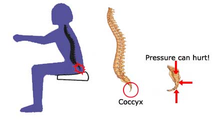 Picture 3 of Everyone owns this part on the body but don't know why they exist