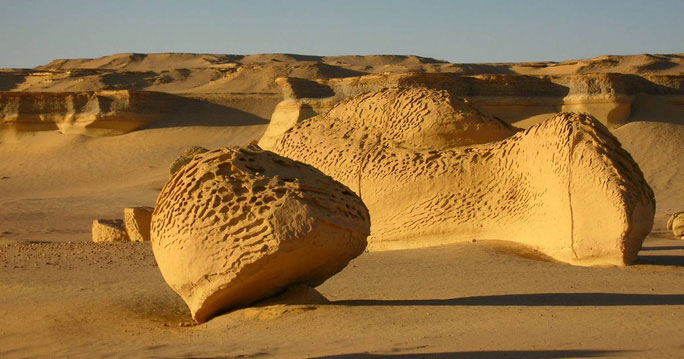 Picture 4 of Everywhere in the world ... dig 'monsters' everywhere