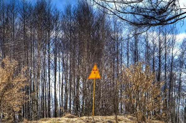 Picture 4 of Evidence makes you 'stunned' about radiation contamination