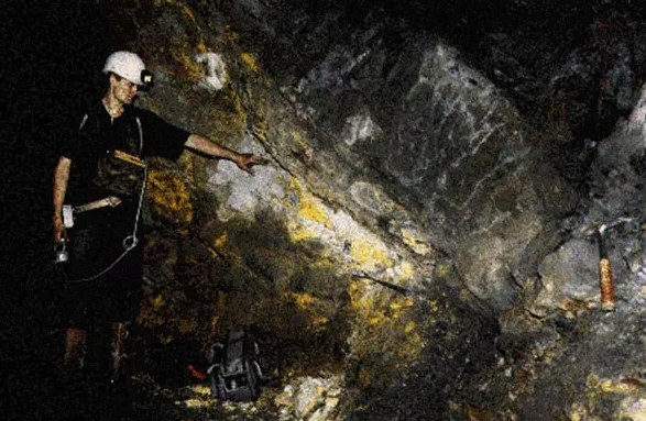 Picture 6 of Evidence makes you 'stunned' about radiation contamination