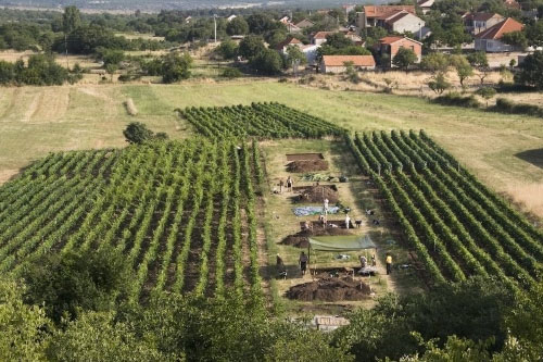 Picture 4 of Evidence of cheese production from 7,200 years ago in Croatia was found