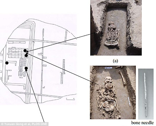 Picture 1 of Evidence of Chinese silk production from 8500 years ago