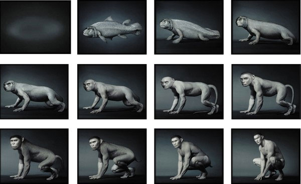 Picture 1 of Evidence shows that humans evolved from fish