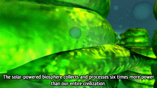 Picture 4 of Evidence shows that plants also know 'go to sleep' just like humans