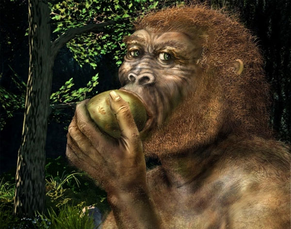Picture 1 of Evolution helps people drink alcohol