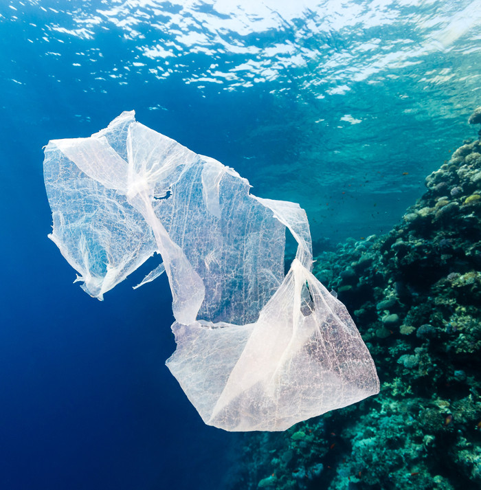 Picture 1 of Evolutionary bacteria can eat plastic to contaminate the ocean