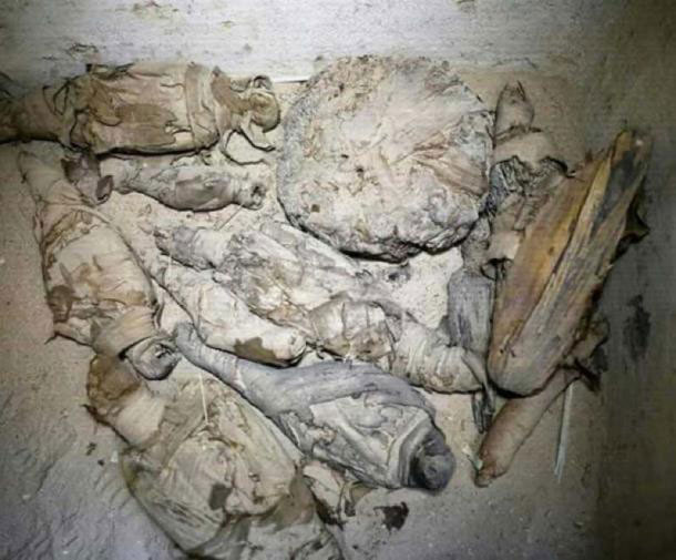Picture 1 of Excavating 2,500-year-old Egyptian tombs, suddenly discovered inside contains dozens of cat mummies