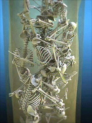 Picture 1 of Excavation of 17 Jewish children bones