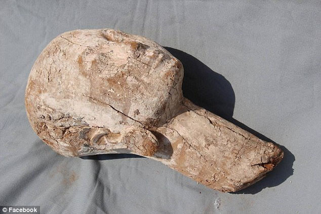 Picture 1 of Excavation of a bustling wooden statue dating back 4,000 years in Egypt