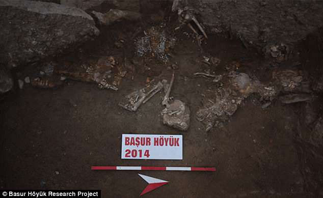 Picture 3 of Excavation of a series of killed children bones as sacrifices
