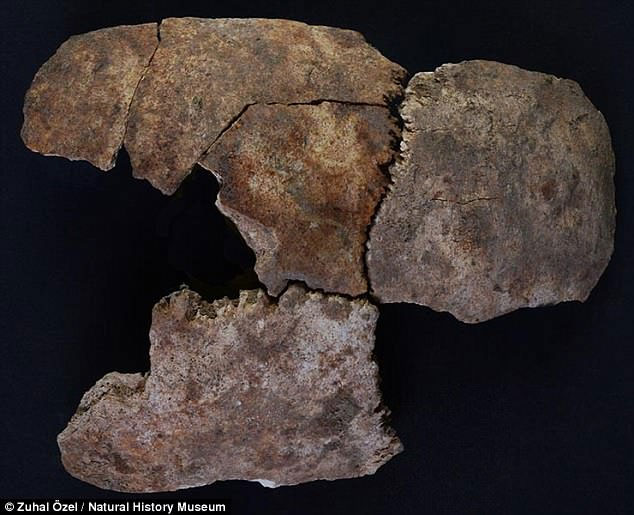 Picture 8 of Excavation of a series of killed children bones as sacrifices