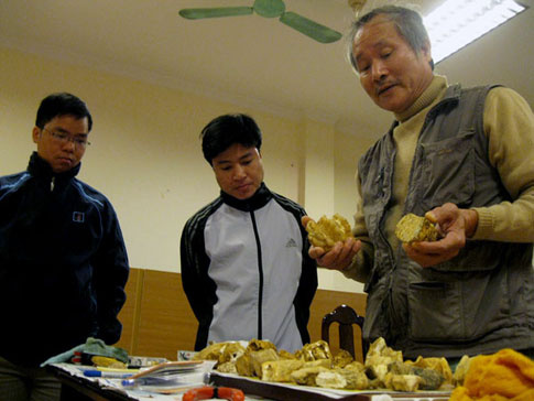 Picture 4 of Excavation of extinct animal fossils in Lang Son