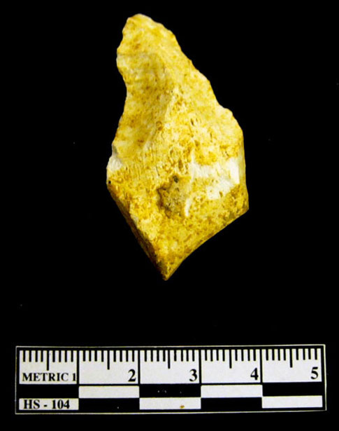 Picture 7 of Excavation of extinct animal fossils in Lang Son