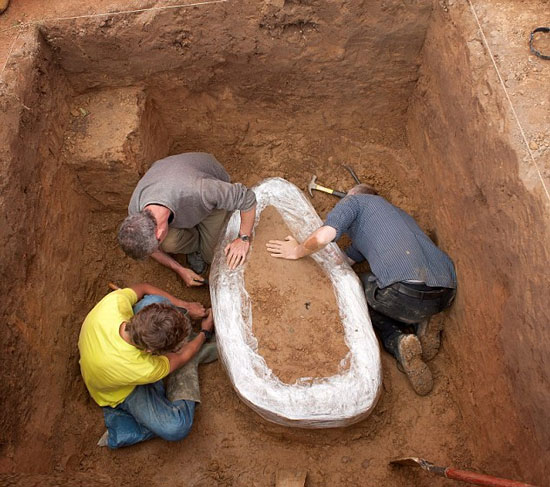 Picture 1 of Excavation of the largest gold and ancient silver vault