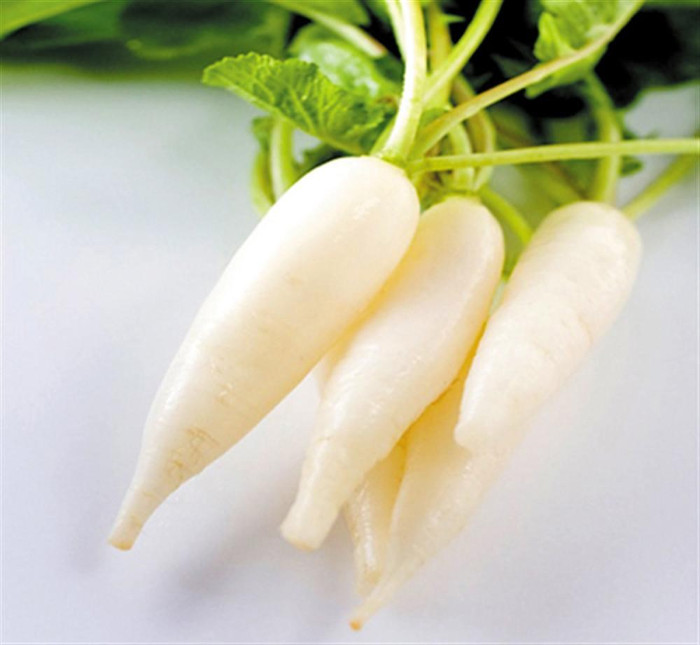Picture 3 of Excellent prevention and treatment of radish from radish