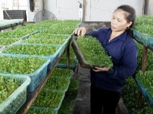 Picture 1 of Exchange of German-Vietnamese biotechnology experiences