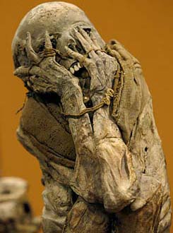 Picture 2 of Exhibition of ancient mummies in Peru