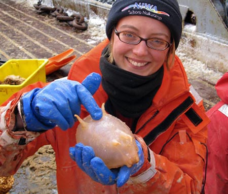 Picture 9 of Exotic animals in Antarctica