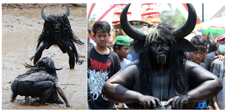 Picture 7 of Exotic customs are only found in Indonesia