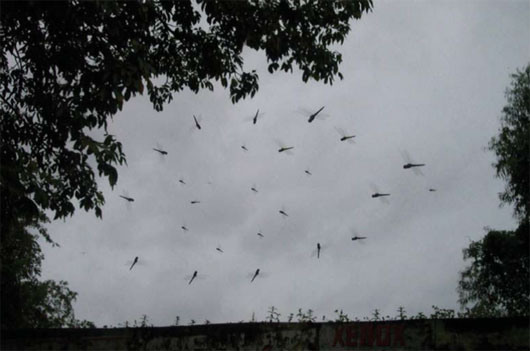 Picture 1 of Experience the rain forecast in India