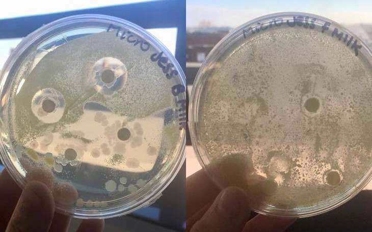 Experiments comparing breast milk and formula milk are controversial images 1