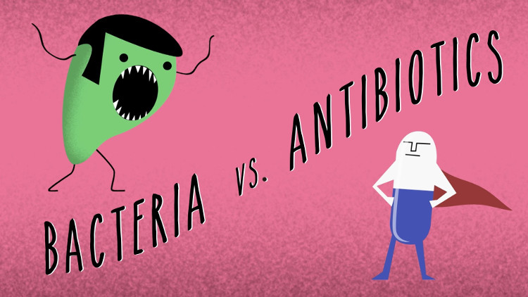 Picture 2 of Experts have warned about antibiotic resistance