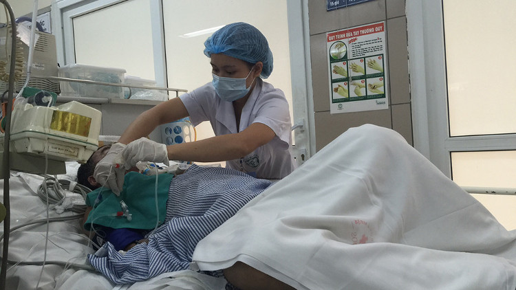 Picture 1 of Experts point out 5 mistakes when first aid for bitten by poisonous snakes