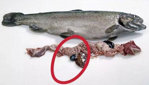Picture 5 of Experts reveal 6 types of delicious meat also should not eat, some also cause loss of life