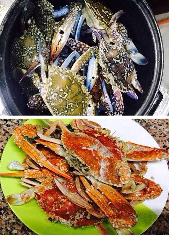 Picture 5 of Explain why food changes color when cooked