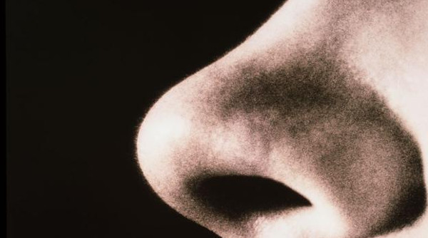 Picture 4 of Explain why we like to pick our nose