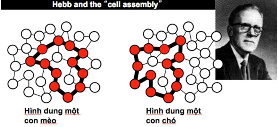 Picture 4 of Explaining bad memory always