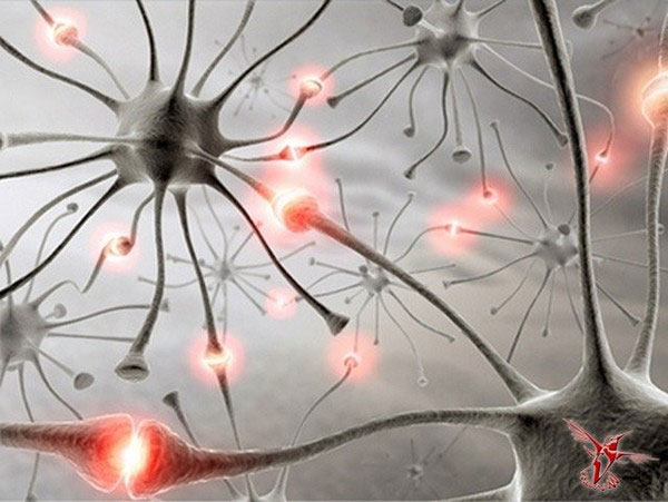 Picture 6 of Explaining bad memory always