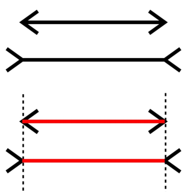 Picture 2 of Explaining why magic can trick us easily
