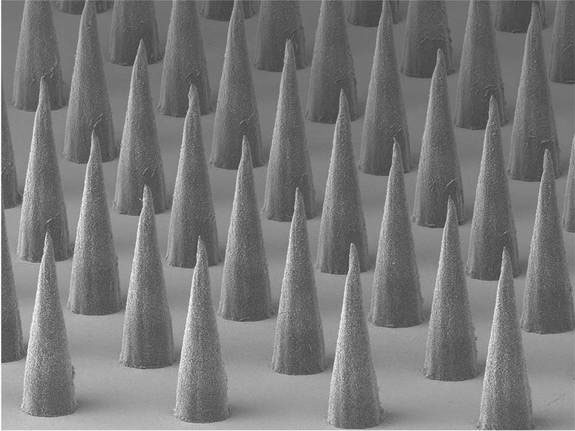 Picture 10 of Explore the magical world under a microscope