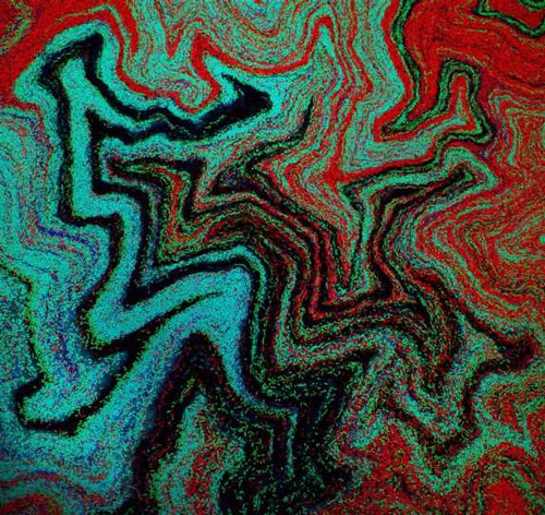 Picture 12 of Explore the magical world under a microscope
