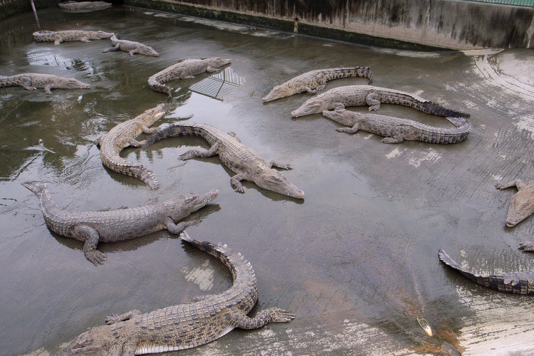 Picture 7 of Explore the strange 'earthly hell' city in Japan