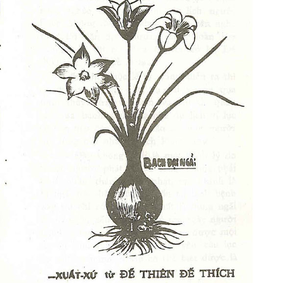 Picture 2 of Explore the world of ancient amulets